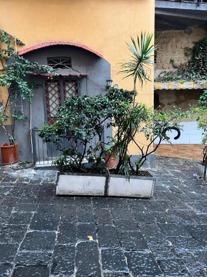 Petite Appartamento