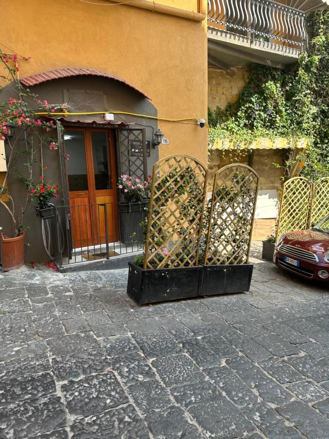 Petite Napoli
